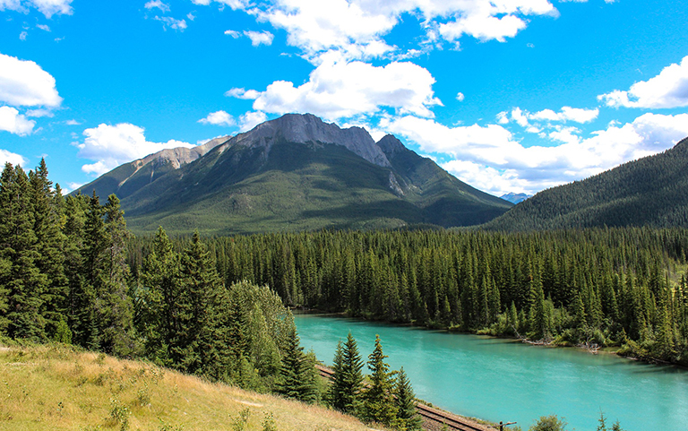 Disturbances that shape Canada's forests