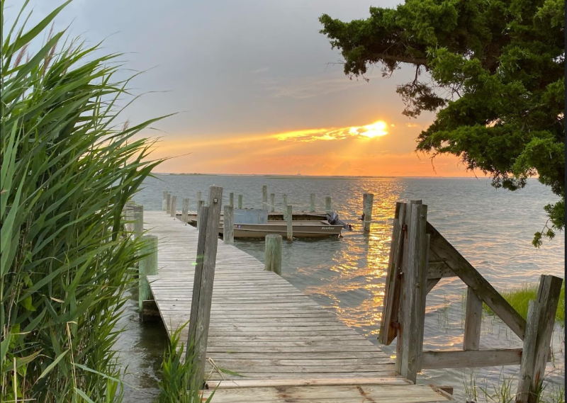 Sedge Island Marine Conservation Zone Biological Survey