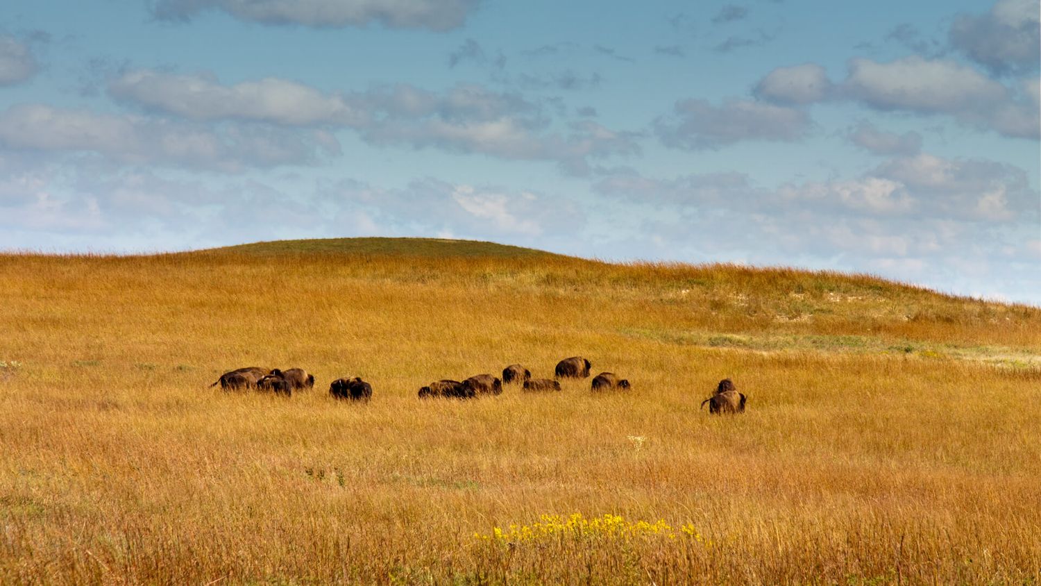 Climate Change In The Prairies