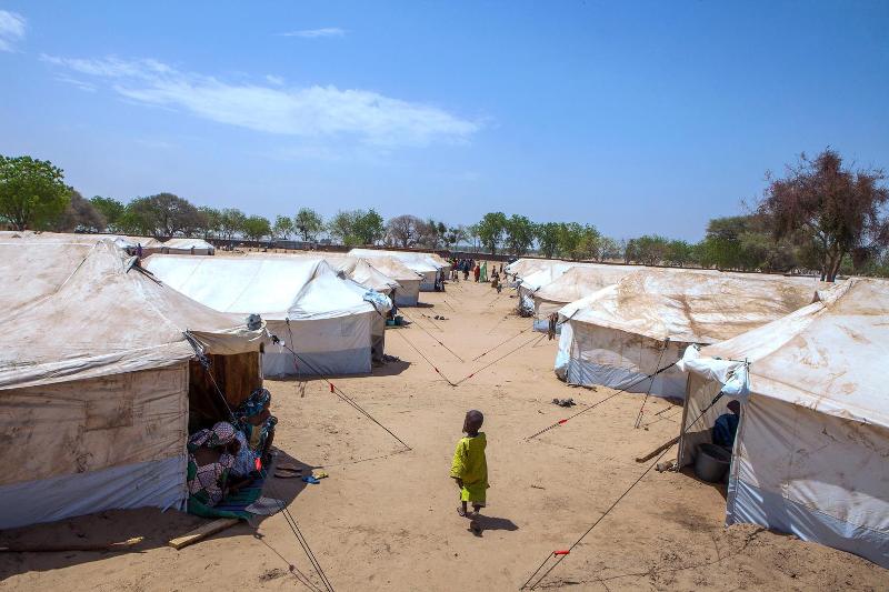 Access to Healthcare for Internally Displaced Persons (IDP)