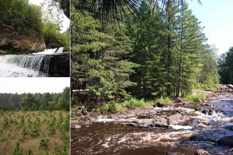 Wisconsin Forests 2019: Interactive Report