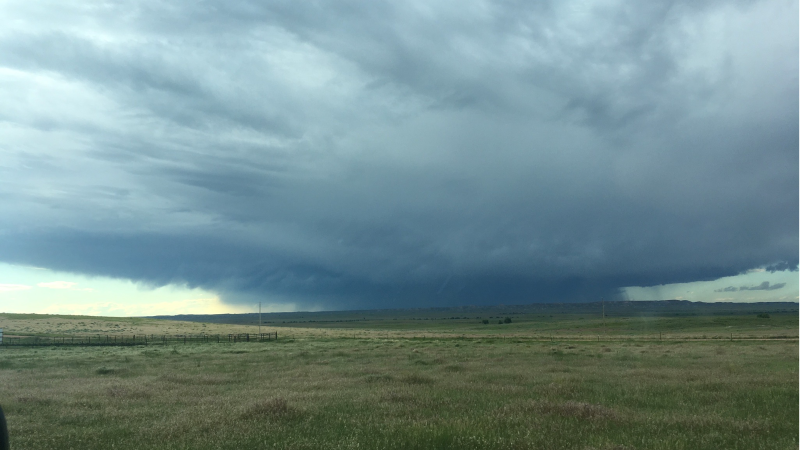 Rangeland Sustainability