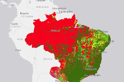 Global Forest Watch Open Data Portal