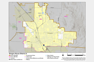 House District 6 (34 x 44)