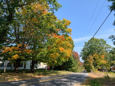 Stephen King S Maine