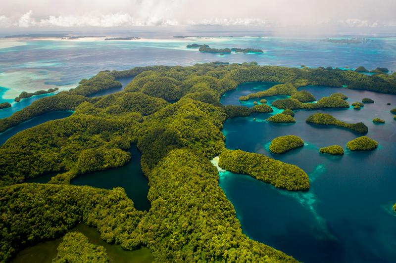 Palau Hope Spot