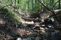 Donaldson Run Stream Restoration: Tributary B