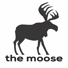 Moose Going Extinct!? How Climate Change Affects Moose