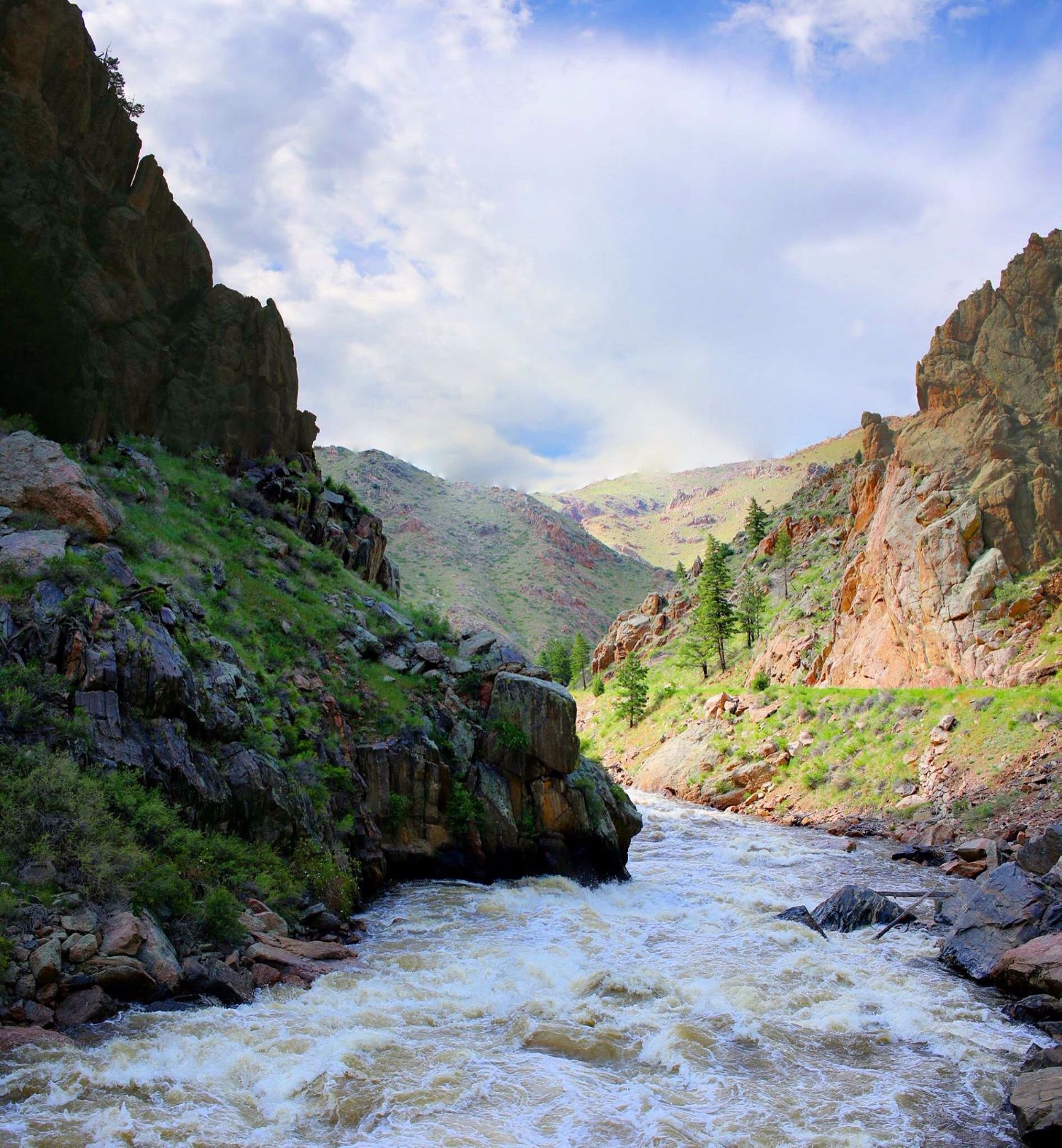 The Cache La Poudre River From Snow To Flow