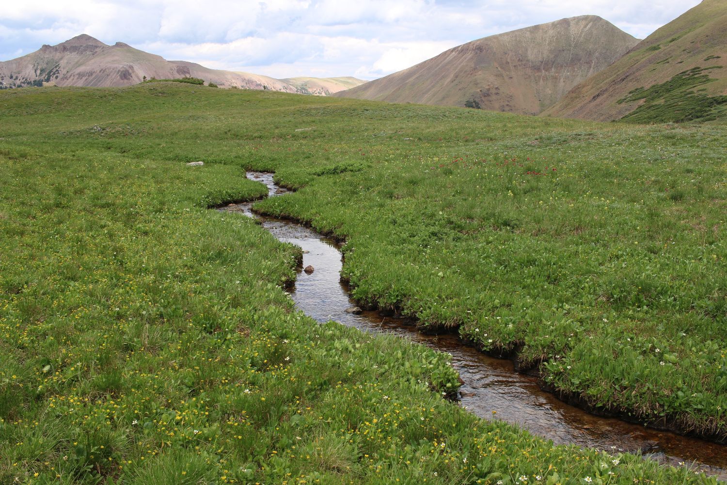 The Cache La Poudre River From Snow To Flow