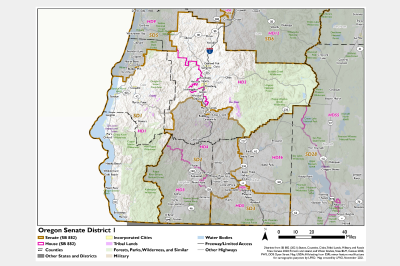 Senate District 1 (34 x 44)