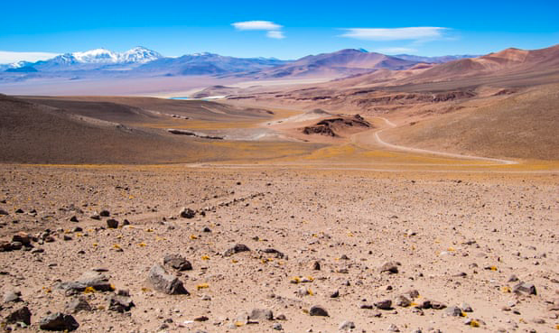 Desert Landscapes