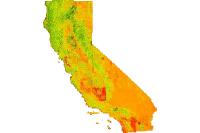 NAIP 2016 NDVI 60cm California