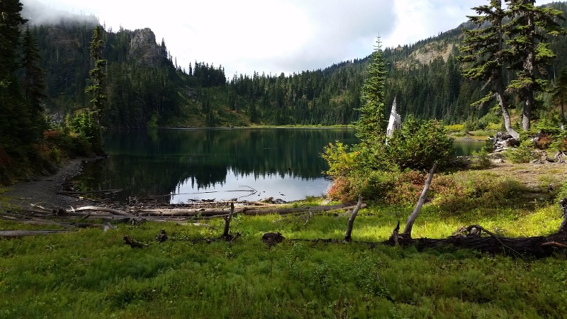 National Forest Service Best Management Practices