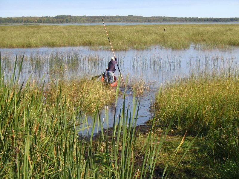 Wild Rice Marsh River Watershed