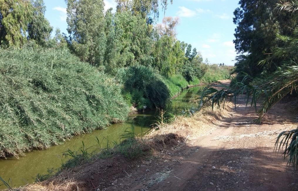 מקטעים מתוכננים באזור המרכז