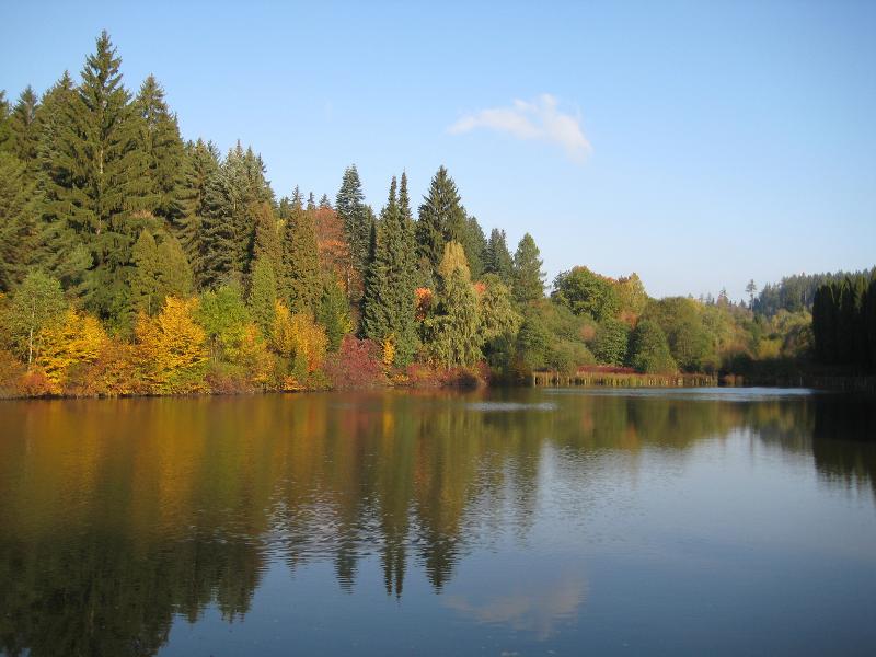 Křtiny Arboretum