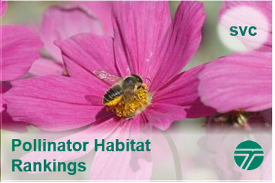 WSDOT Pollinator Habitat Rankings