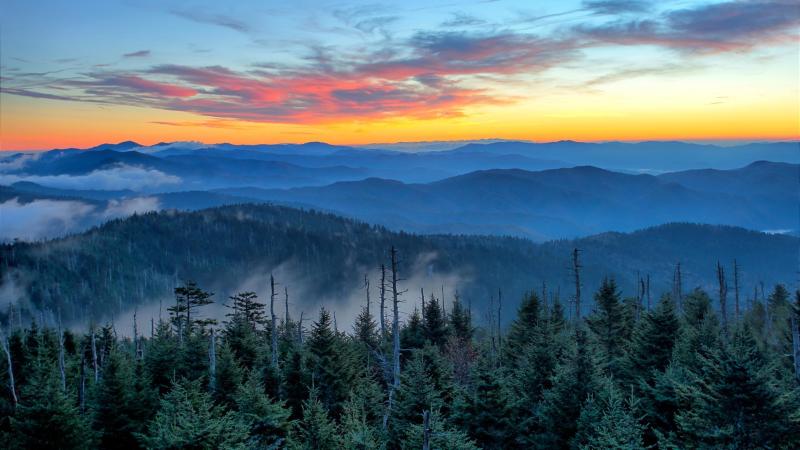 Environmental Impacts in Great Smoky Mountains National Park