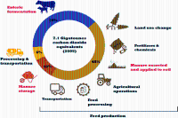 Impacts Of Industrial Beef Production