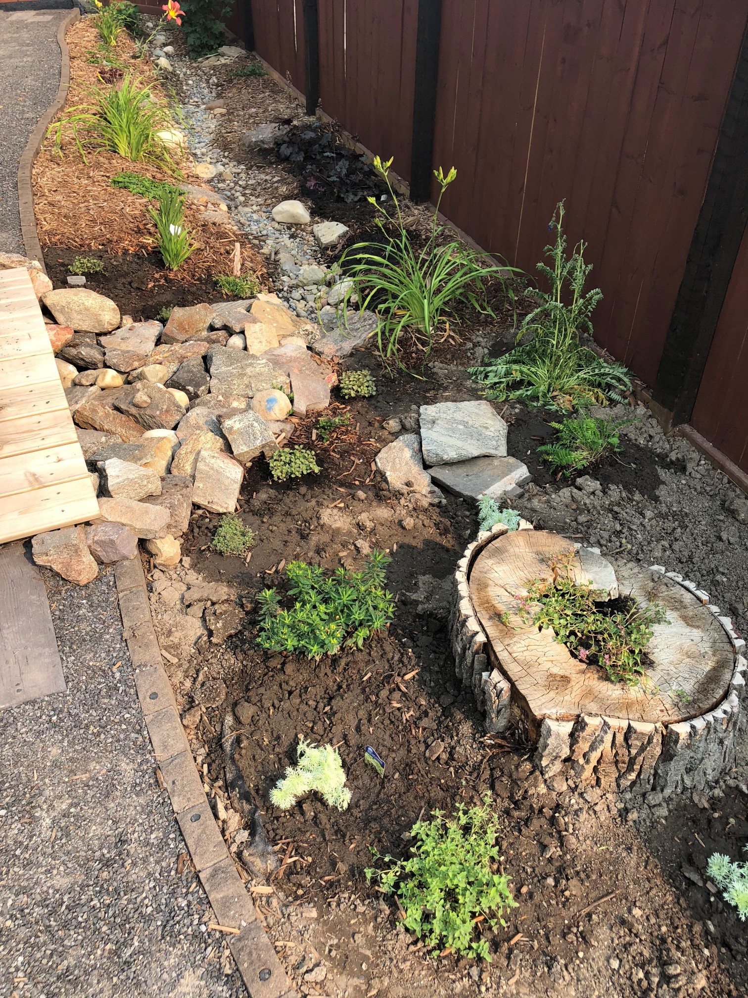 Protect the Watershed by Planting a Rain Garden