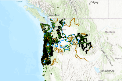 Pacific Lamprey Known Observations And Distribution