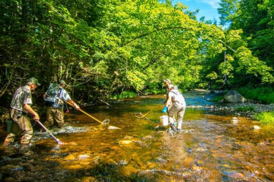 Trout Fishing In New Hampshire  State of New Hampshire Fish and Game