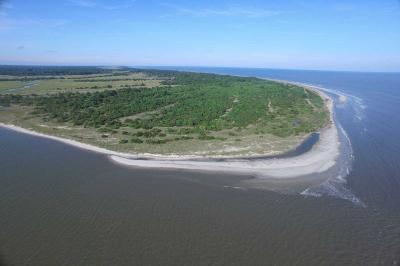 The Georgia Continental Shelf and Blake Plateau Hope Spot