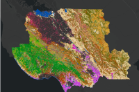 Santa Cruz and Santa Clara County Fine Scale Vegetation Map Layer