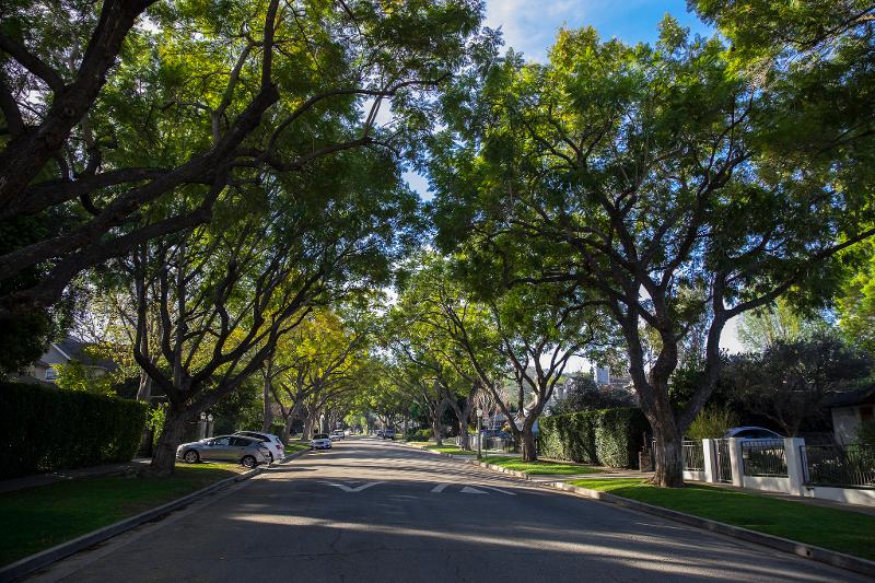 The Journey to the Los Angeles County Tree Canopy Map Viewer