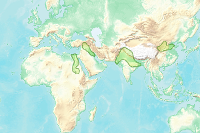 Cradles Of Civilization Map Cradles Of Civilization - Overview