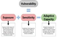 Understanding Vulnerability