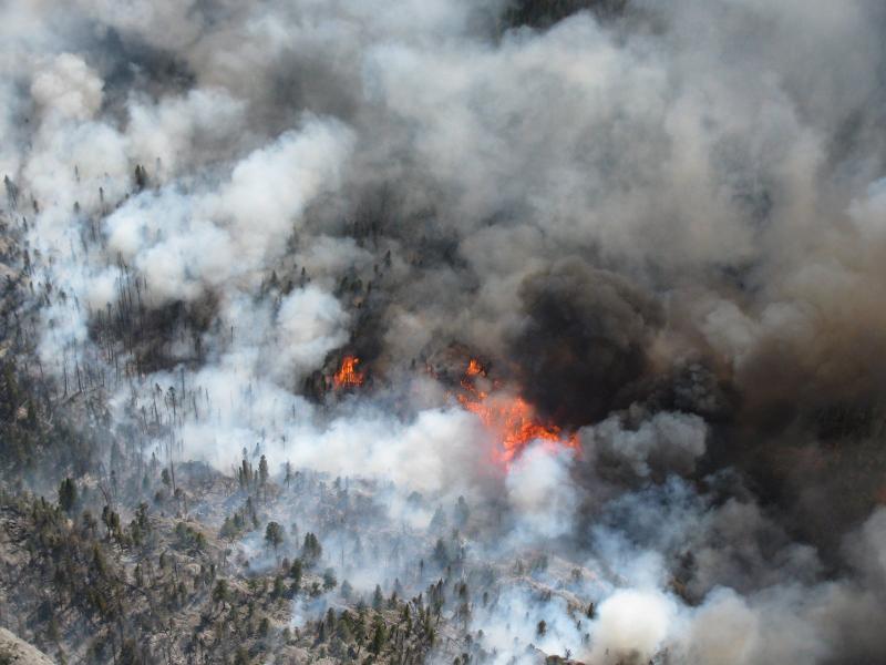 Impacts Of Beetle Kill on Wildfire