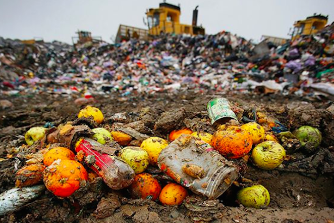 facts-for-working-people-food-waste-in-the-us-is-a-crime