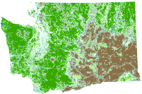 Land Cover Statewide Ecopia Data 2021 2022 3ft Raster