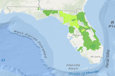 Statewide Basin Management Action Plan (BMAP) General Areas