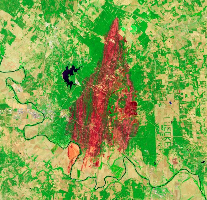 Calculate Canopy Density and Height using LiDAR Data